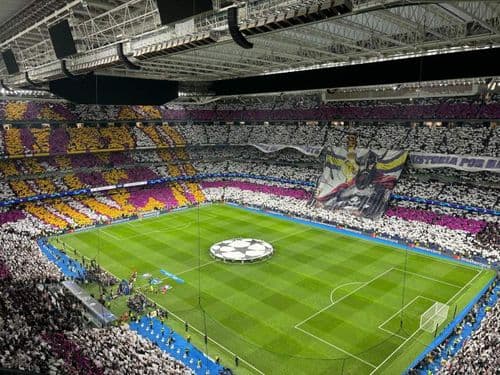 category placeholder