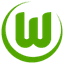 VFL Wolfsburg Club